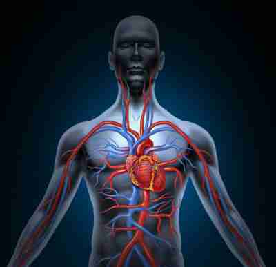Beinschmerzen - Herzinfarkt-Risiko