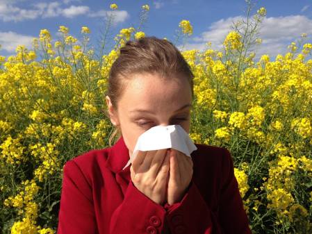 Allergien - Fließschnupfen