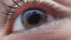 Der Glaskörper - Auge