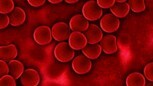 Naturheilung Blutzellen