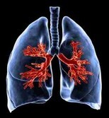 Asthmapatienten - Naturheilkunde