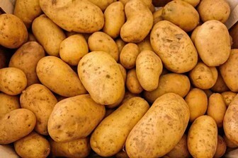 Naturheilkunde - Kartoffelwickel