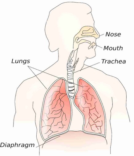 Lungenschmerzen - Diagnose